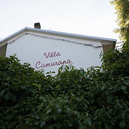 Villa Camurana Medolla Εξωτερικό φωτογραφία